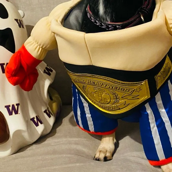 EUC [Halloween Costumes] Pro Boxer + Belt Dog Cat Pet Halloween Costume Sz Small - Picture 6 of 10